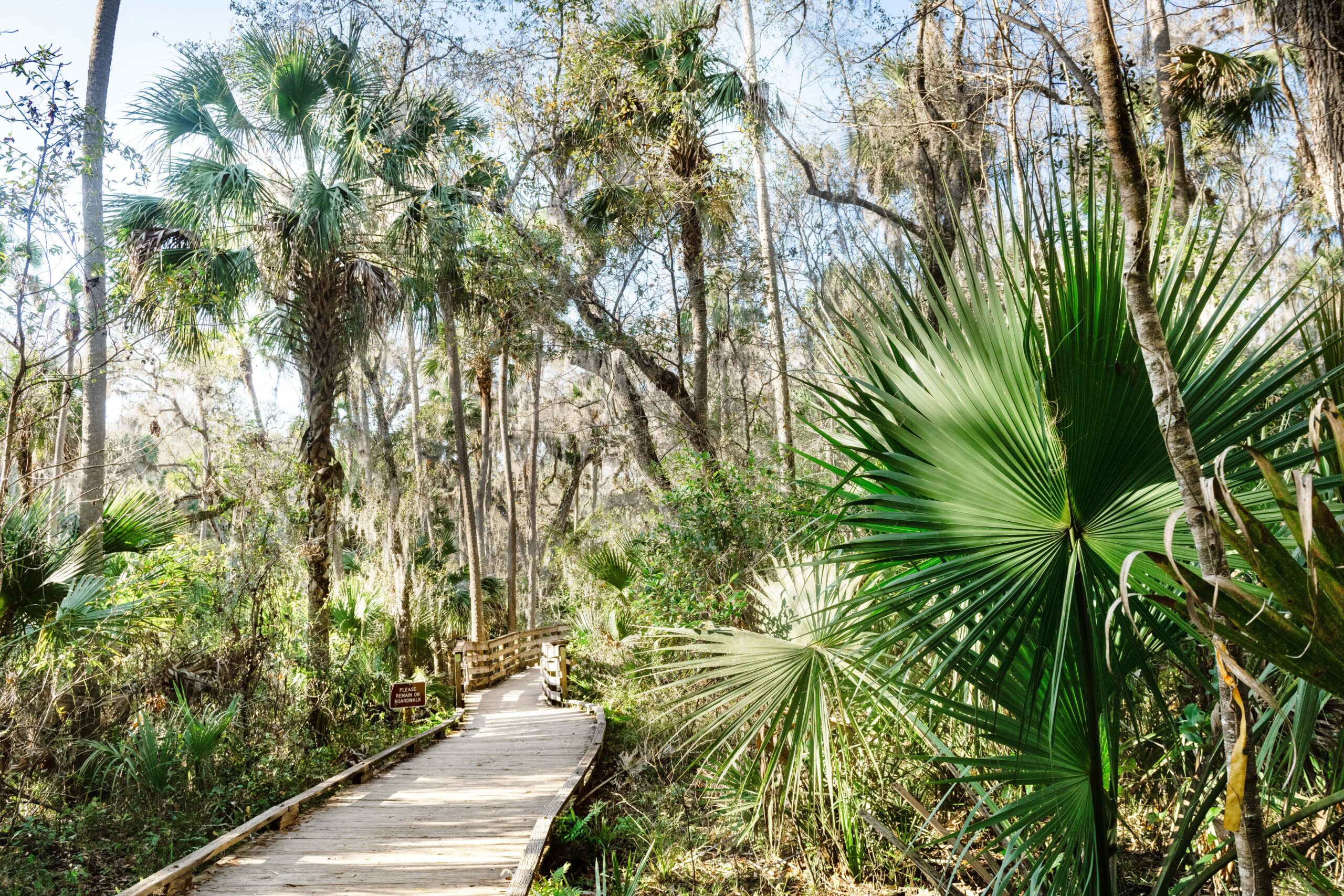 Scheduling Services parks and recreation Lakeland Florida