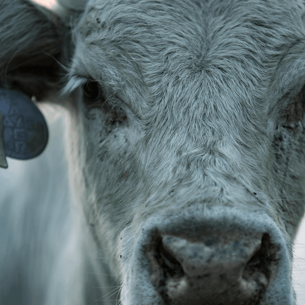 commercial hvac preventative maintenance cost madison wisconsin