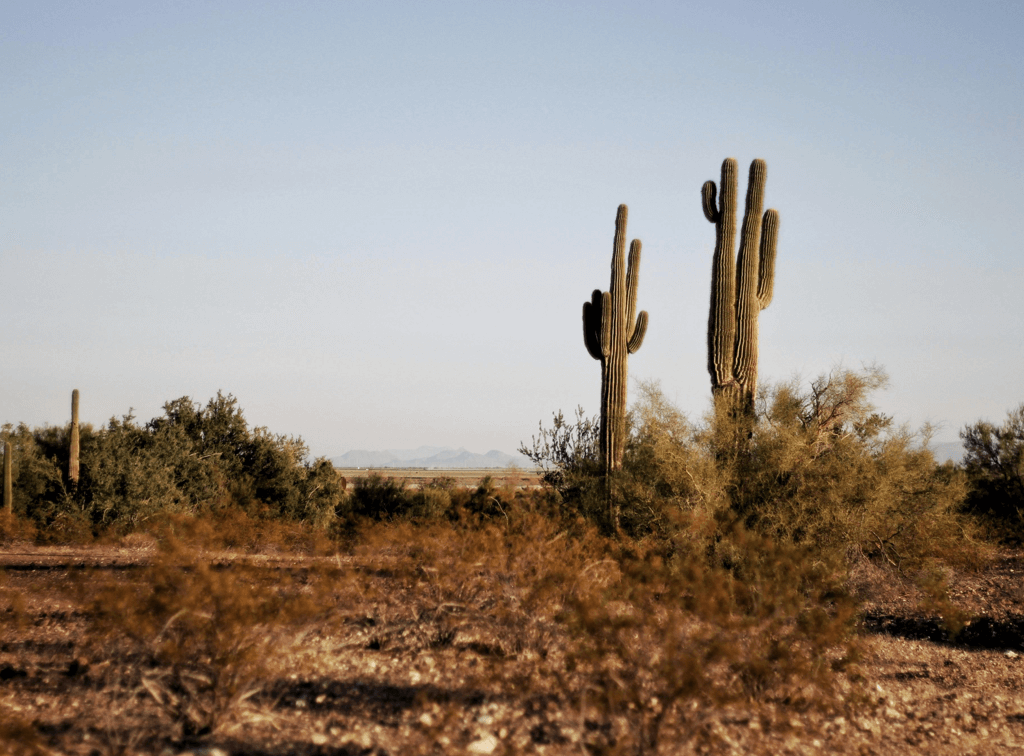 commercial hvac preventative maintenance cost mesa arizona