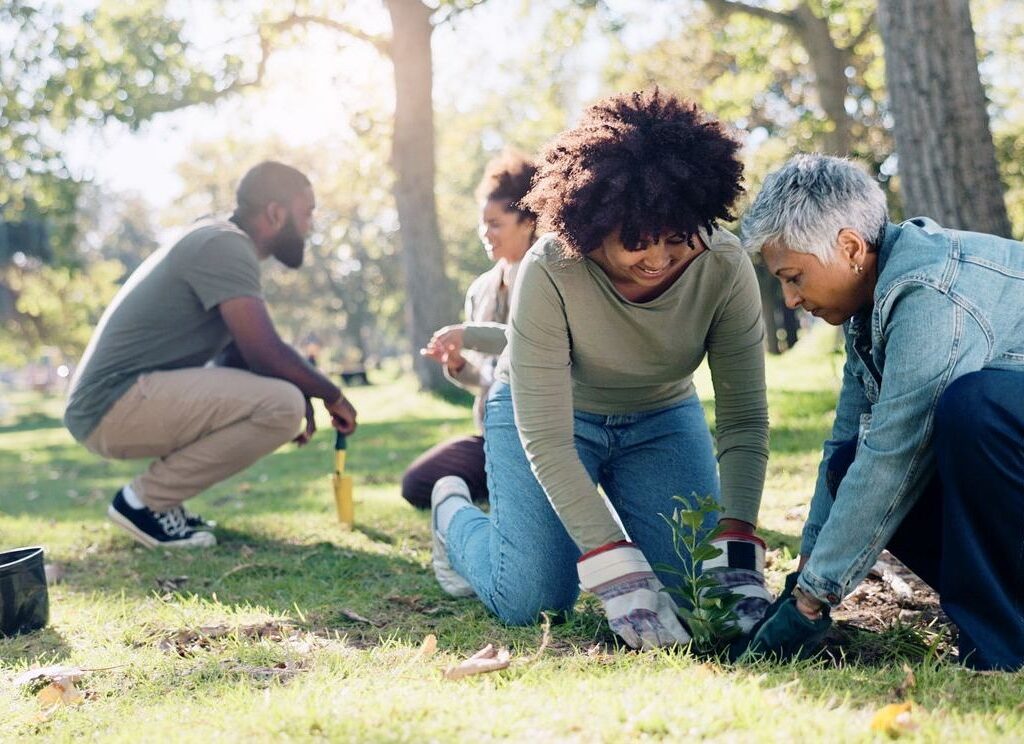 commercial pest control service contracts albany new york