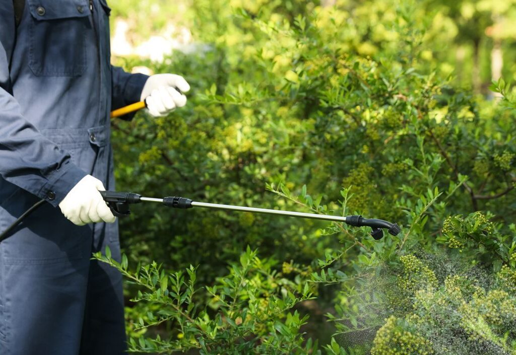 commercial pest control service contracts new york new york