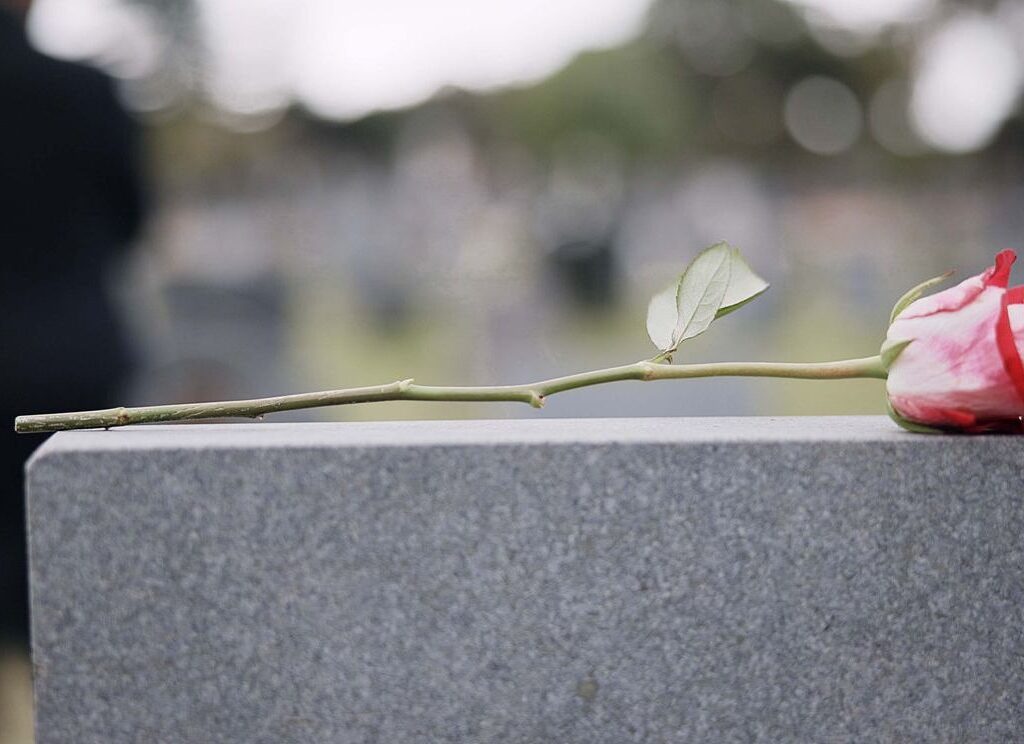 commercial pest control service contracts phoenix arizona