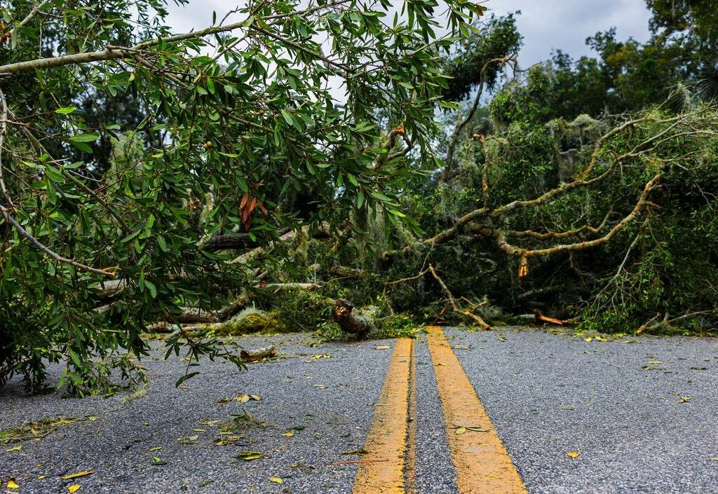 commercial rooftop solar installation incentives orlando florida